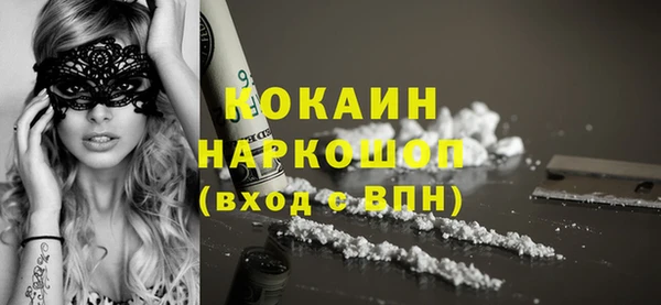 гашик Видное