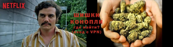 прущие крисы Арсеньев