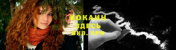 мяу мяу мука Аркадак