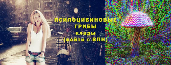 прущие крисы Арсеньев