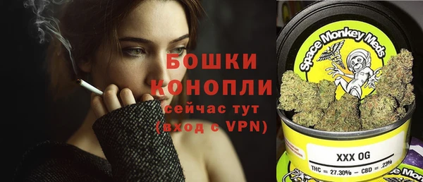 прущие крисы Арсеньев