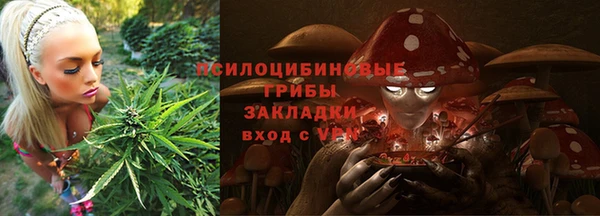 мяу мяу мука Аркадак